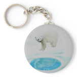 Polar bears alone keychains