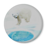 Polar bears alone magnets