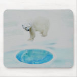 Polar bears alone mousepads