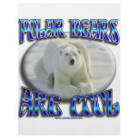 POLAR BEARS ARE COOL_APLHA FLYER DESIGN