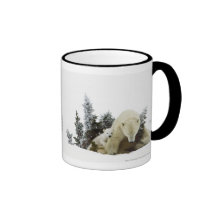 Polar Bears At Wapusk National Park Mugs