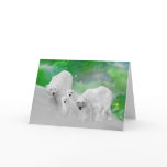 Polar Bears, cubs and northern lights cards
