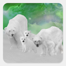 Polar Bears, cubs and northern lights Sticker