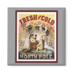 Polar Bears Drinking Lagers magnets
