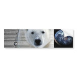 polar bears earth bumper stickers