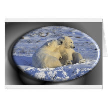 Polar Bears Holiday card #3
