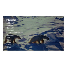 Polar Bears In Cape Lisburne Business Cards
