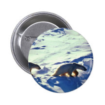 Polar Bears In Cape Lisburne Pinback Buttons