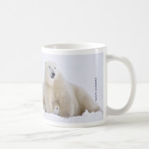Polar bears play fighting coffee mugs