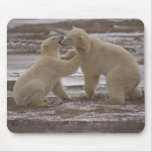 Polar bears playing  523 mousepads