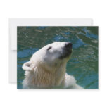 Polar bears smile invitations
