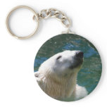 Polar bears smile keychains