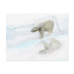 Polar bears walk to freedom postcards