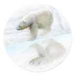Polar bears walk to freedom stickers