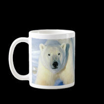 polar-beer, polar-beer mugs