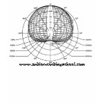 Polar Pattern-Cardiod t-shirts