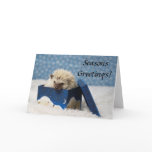 Polar Pog "Seasons Greetings" card