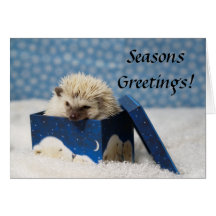 Polar Pog "Seasons Greetings" card