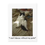 Pole Dancing Kitty Cat postcards