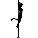 Pole Icon photo sculptures