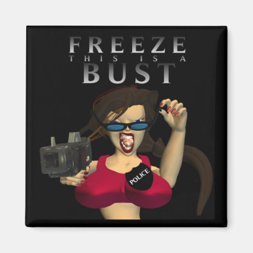 Police Woman FREEZE THIS IS A BUST Magnets