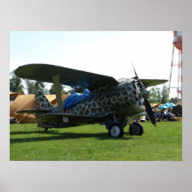 Polikarpov I-153. Poster
