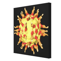 Polio Virus, Showing the Receptors Gallery Wrapped Canvas