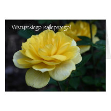 Polish Birthday Card Sto Lat Yellow Rose