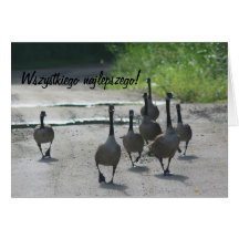Polish Birthday Sto Lat Canada Geese Card