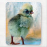 Polish Chick Mouse Mats