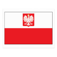 Polish Falcon Flag Postcard