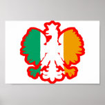 POLISH/IRISH FLAG posters