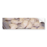 POLISH & LOVING PIEROGI BUMPER STICKER