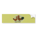 Polish:  Red Pair bumper stickers