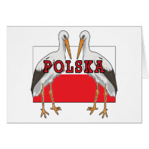 Polish White Stork Polska Greeting Cards