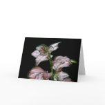 Polka Dot Plant Portrait Greeting Card