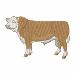 Polled Hereford