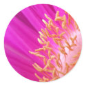 Pollen Stickers