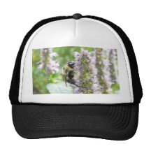 Pollination – Bumblebee on Agastache Trucker Hat