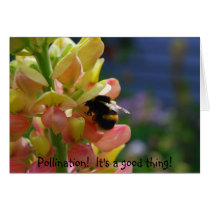 Pollination!  It's a good thing! Let's Pollinate! Greeting Cards