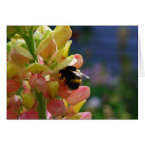 Pollination!  It's a good thing! Notecard