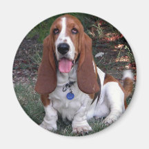 Polly Magnet