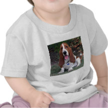 Polly Shirts