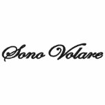 Polo embroidered shirts