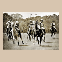 Polo Horses Galloping posters