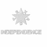 Polo - Texas Independence embroidered shirts