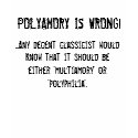 POLYAMORY IS WRONG! t-shirts