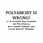POLYAMORY IS WRONG! t-shirts