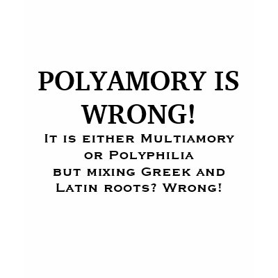 POLYAMORY IS WRONG! T SHIRT by KiltInspector