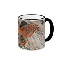 Polyphemus Moth Lg Coffee Mug